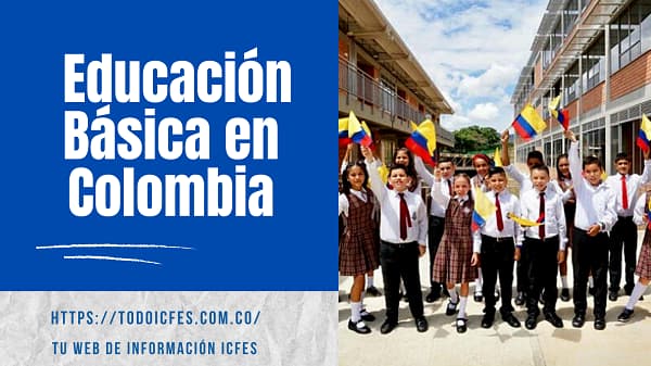 Educación básica primaria y secundaria