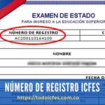 Número de Registro ICFES