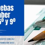 Pruebas Saber 3º 5º y 9º